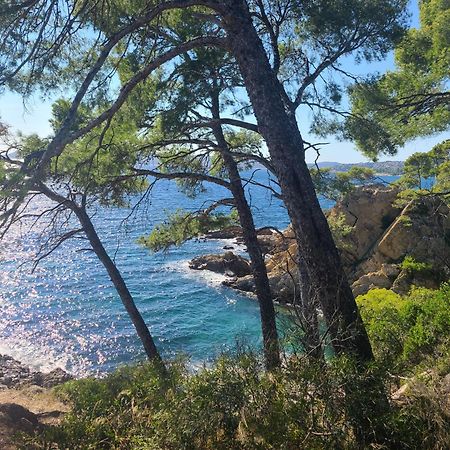 Evasion Nature A Cap Esterel Jardin, Mer & Golf Tout Confort Saint-Raphaël エクステリア 写真