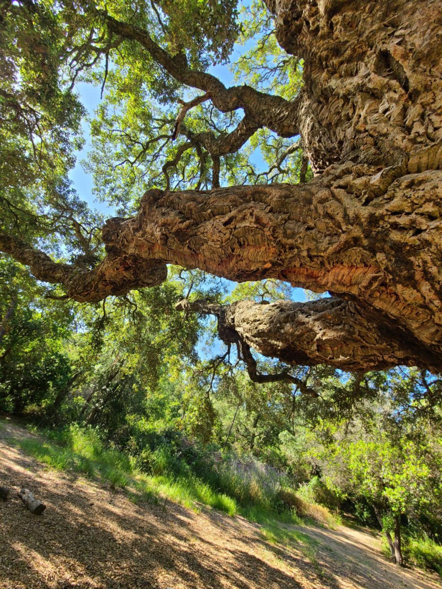 Evasion Nature A Cap Esterel Jardin, Mer & Golf Tout Confort Saint-Raphaël エクステリア 写真