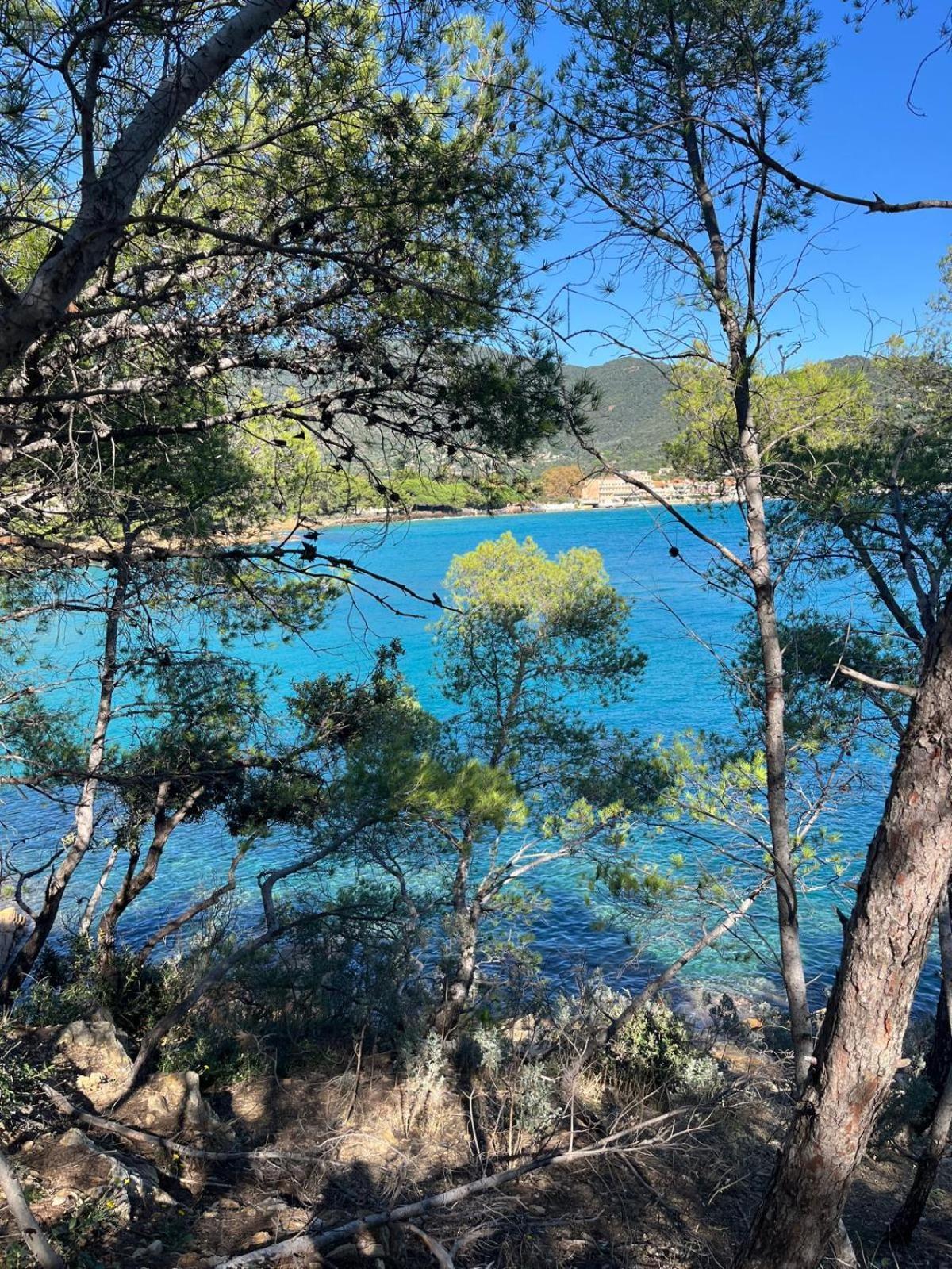 Evasion Nature A Cap Esterel Jardin, Mer & Golf Tout Confort Saint-Raphaël エクステリア 写真